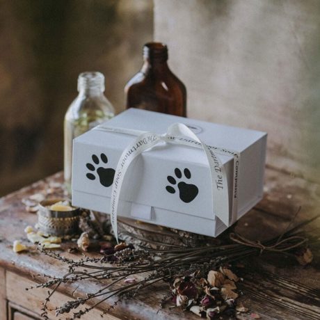 A Gift Set For Dog Lovers