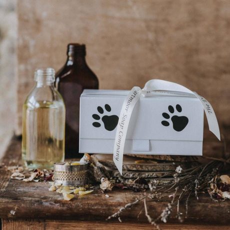 A Gift Set For Dog Lovers